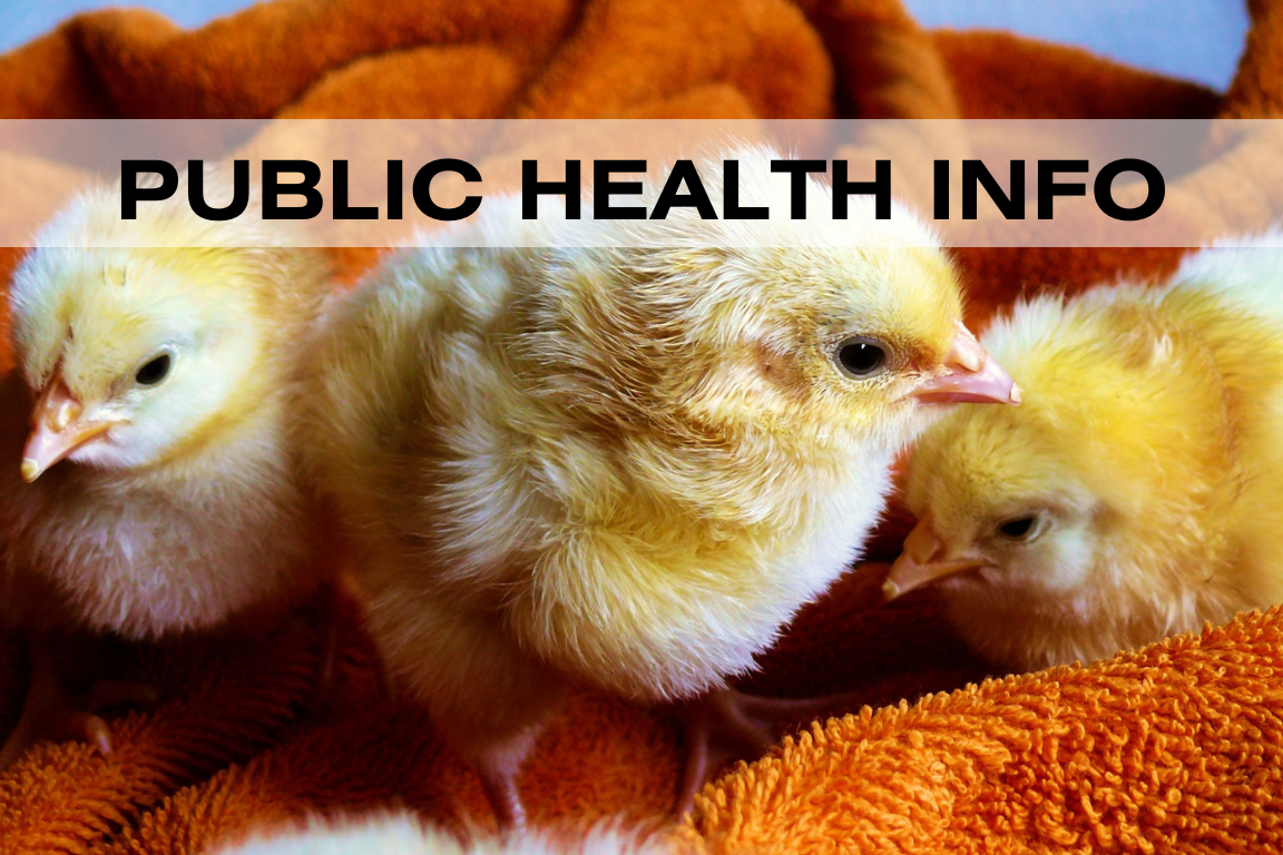 View of Veterinary - Poultry Health | NC Agriculture